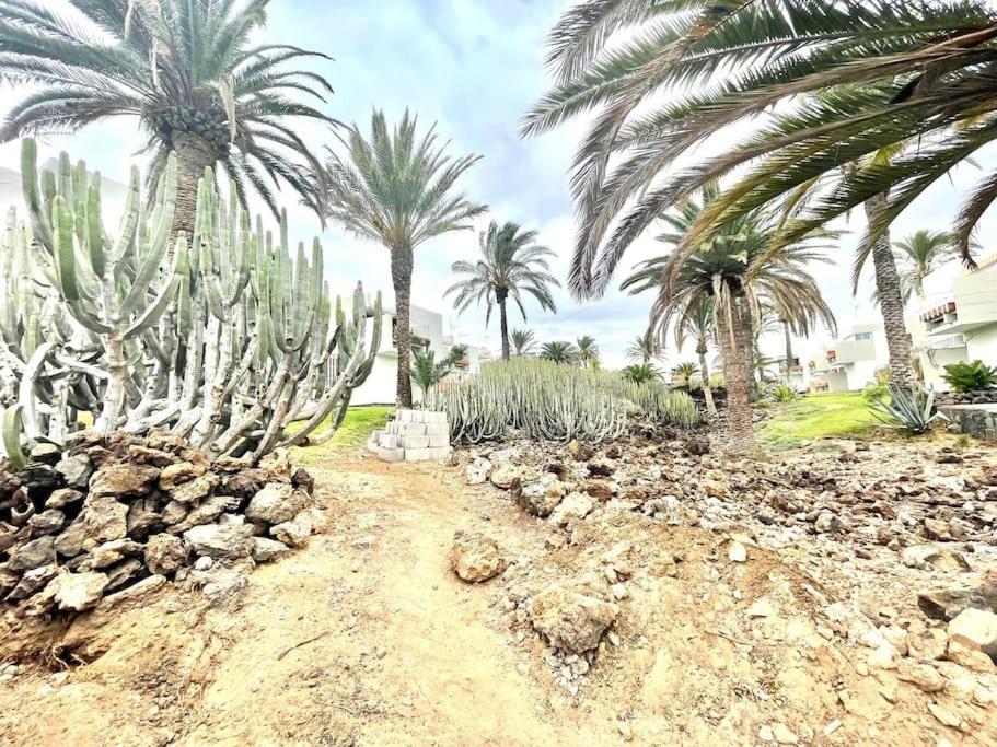 Apartamento Con Piscina Sur De Tenerife Costa del Silencio Eksteriør billede